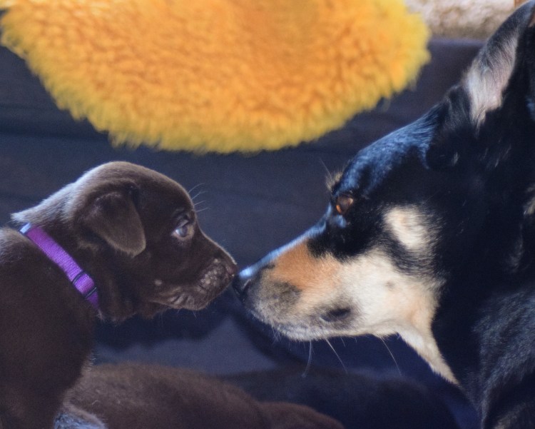 IMG_20170418_221735_526[1]