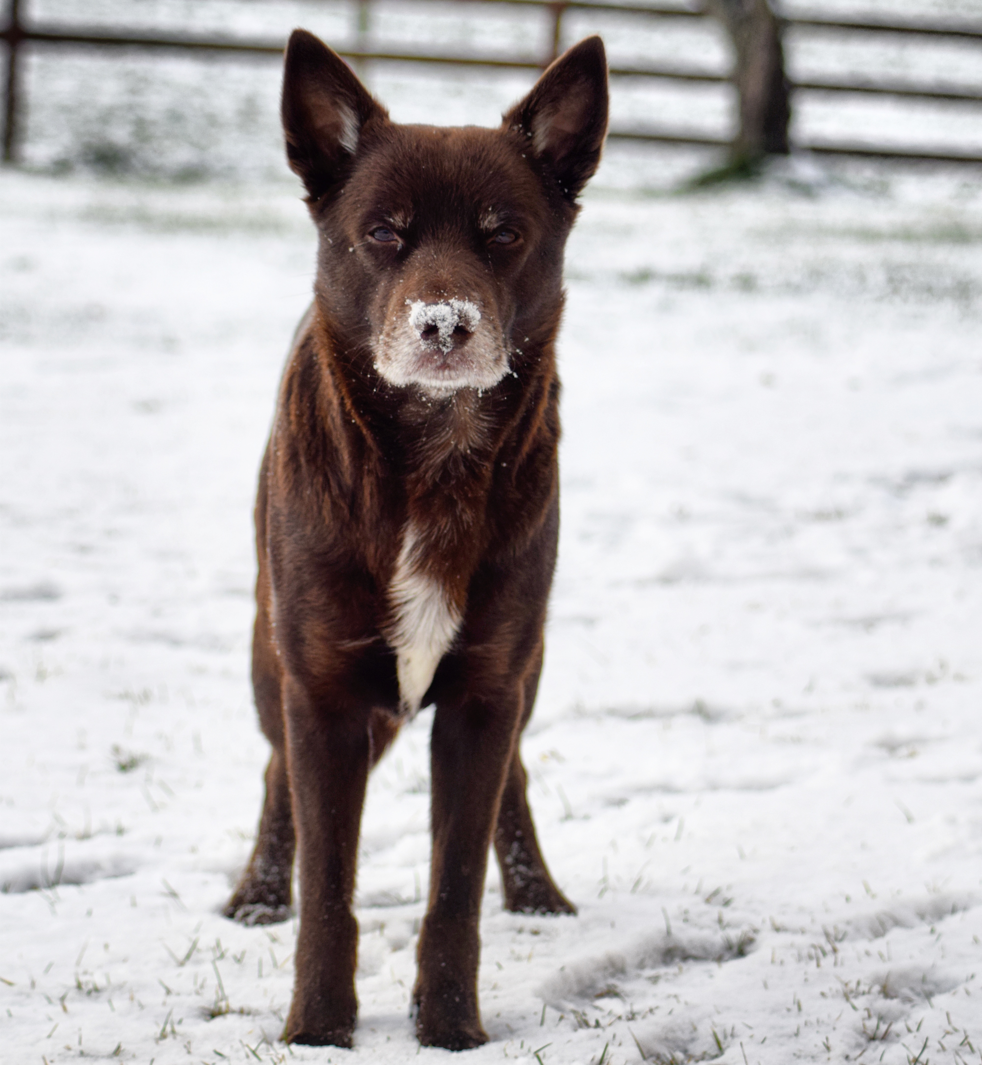 IMG_20171120_161727_025