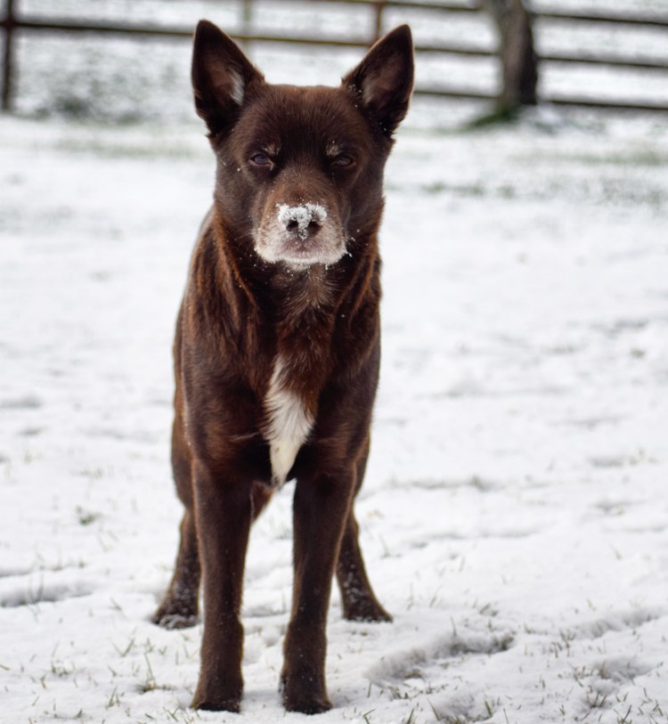 IMG_20171120_161727_025