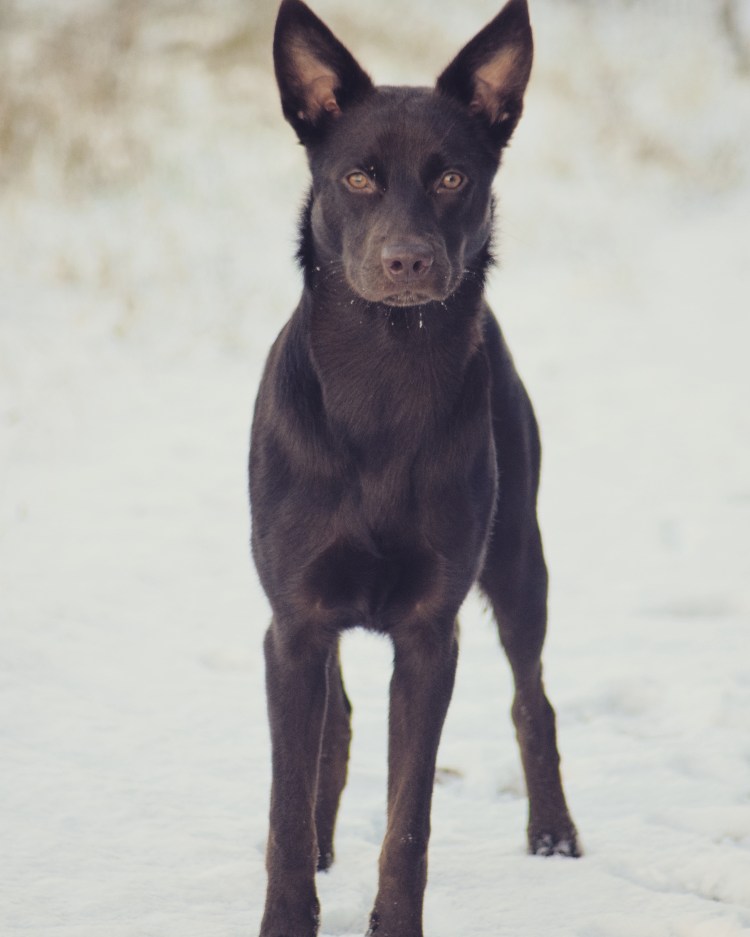 IMG_20171120_162006_196