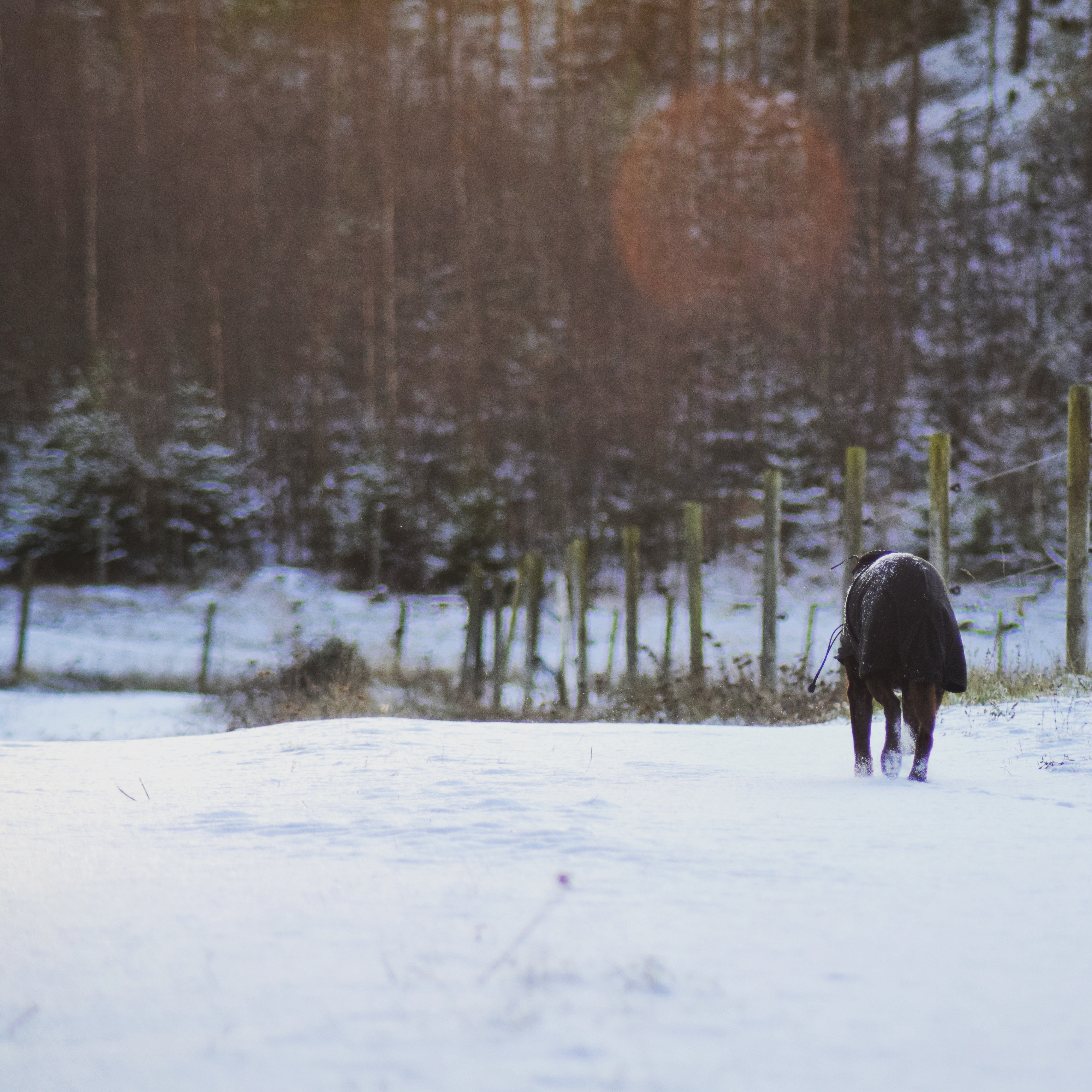 IMG_20171120_162133_443