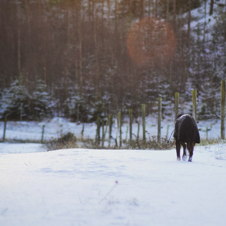 IMG_20171120_162133_443