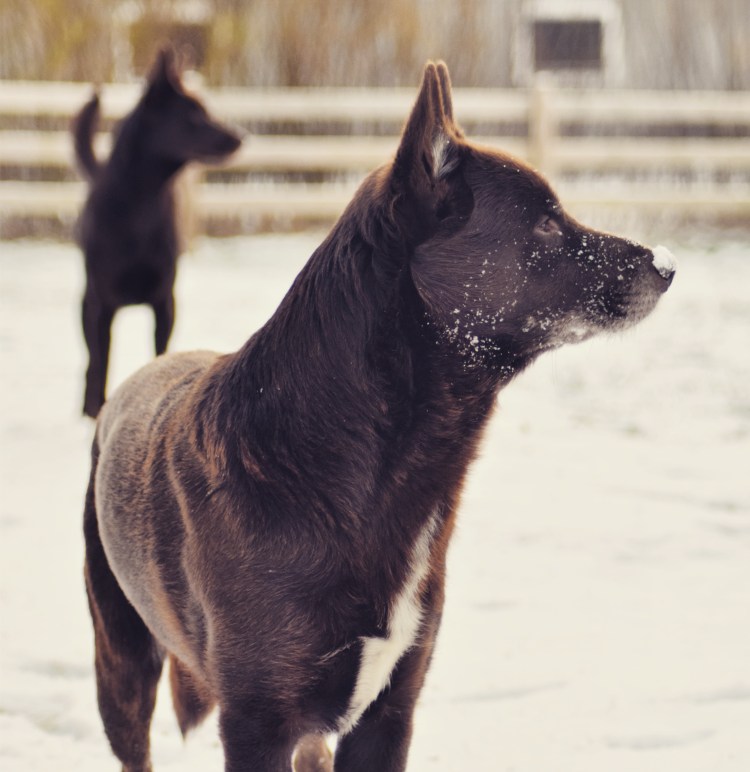 IMG_20171120_162718_564