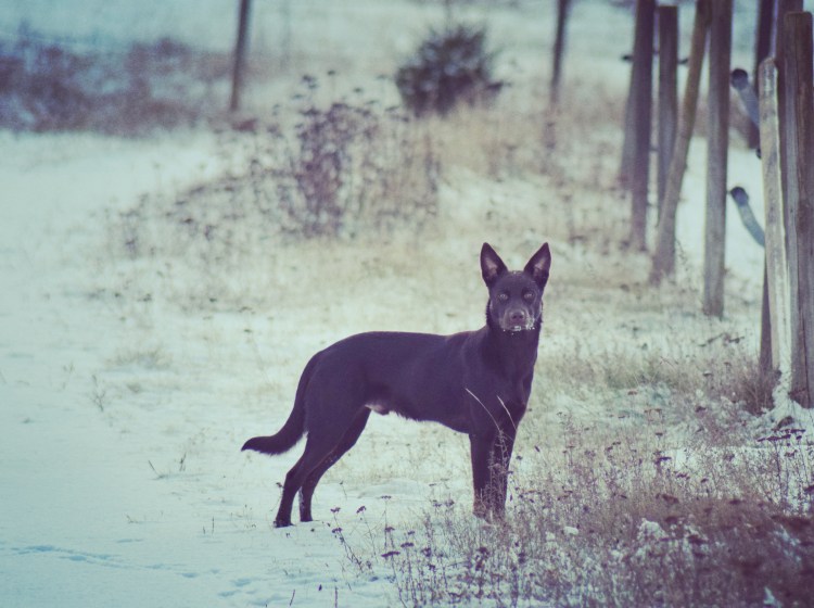 IMG_20171120_163112_645