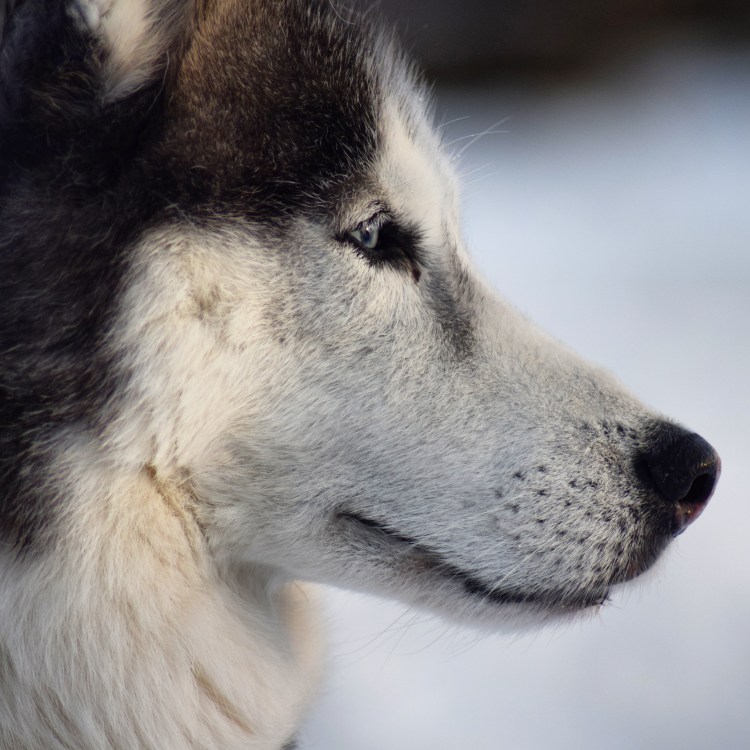 IMG_20171213_144940_639[1]