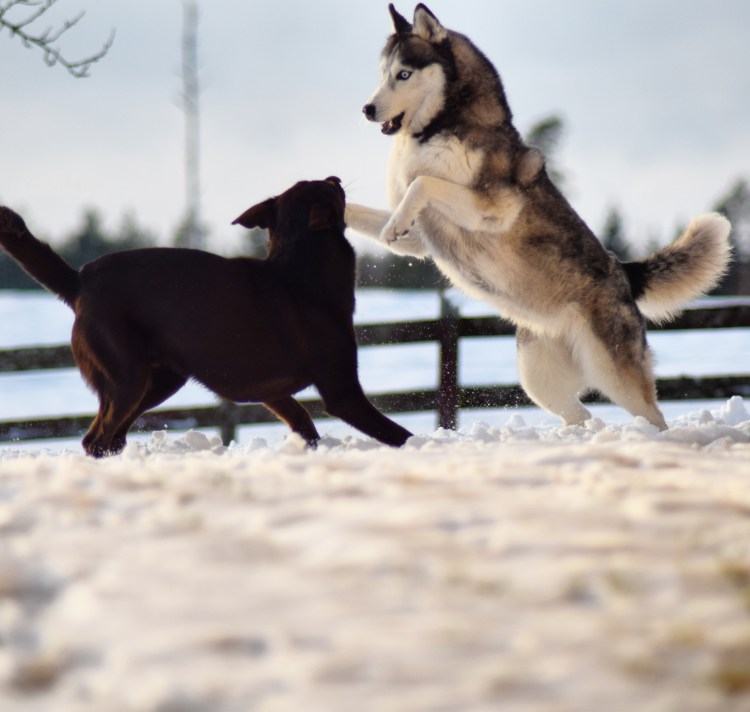 IMG_20171213_160024_384[1]